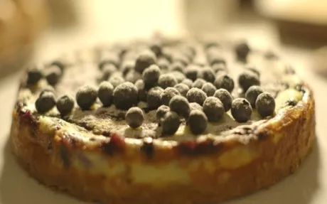 Blueberry Cheesecake Recipe | Food Network UK