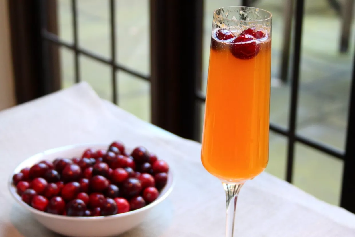 Cranberry and Clementine Fizz Recipe | Food Network UK