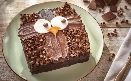 Owl Cake Recipe | Food Network UK