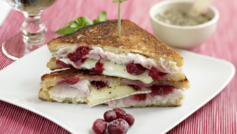 Pan-fried Turkey, Brie and Cranberry Sandwich Recipe | Food Network UK