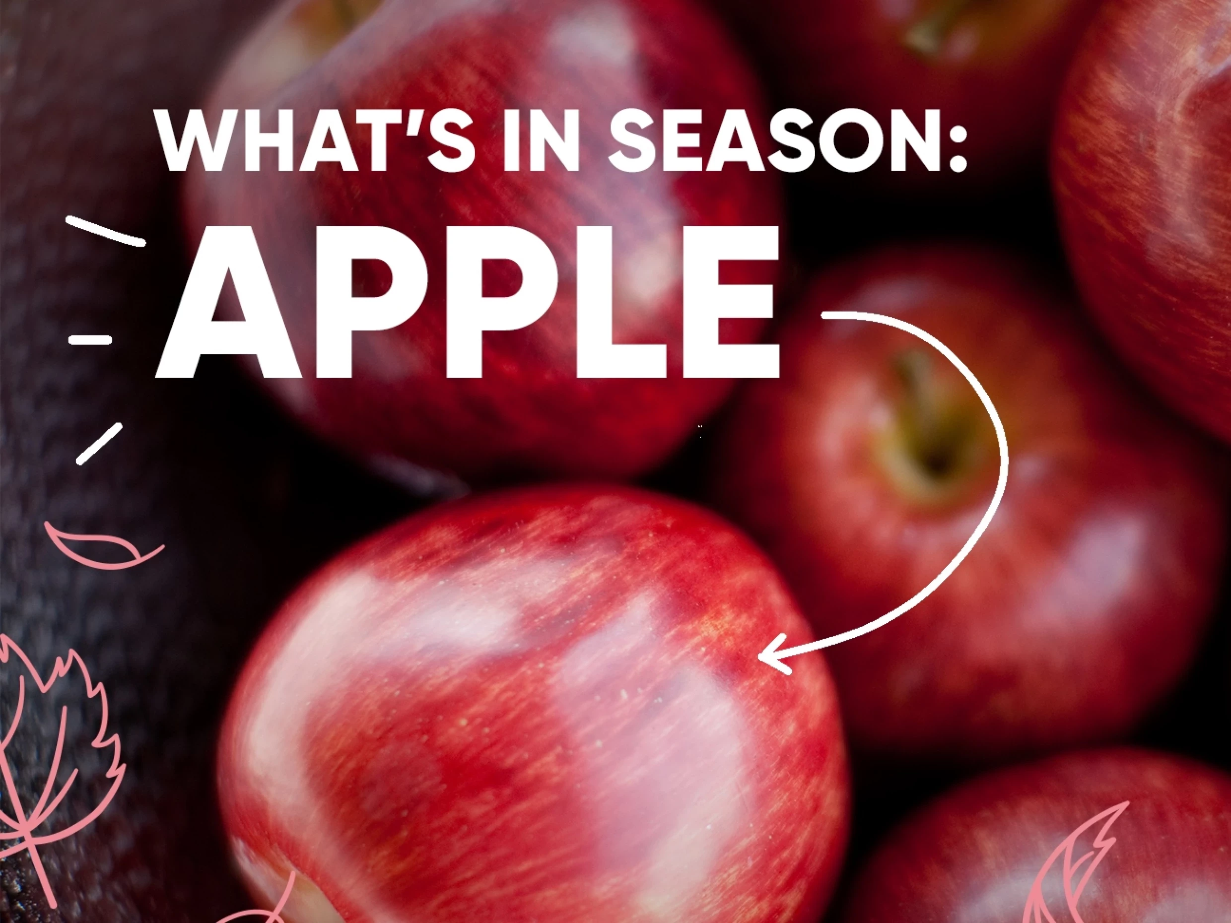 apple recipes